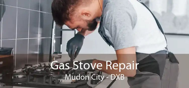 Gas Stove Repair Mudon City - DXB