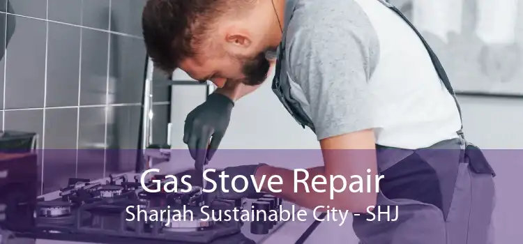 Gas Stove Repair Sharjah Sustainable City - SHJ