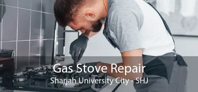 Gas Stove Repair Sharjah University City - SHJ