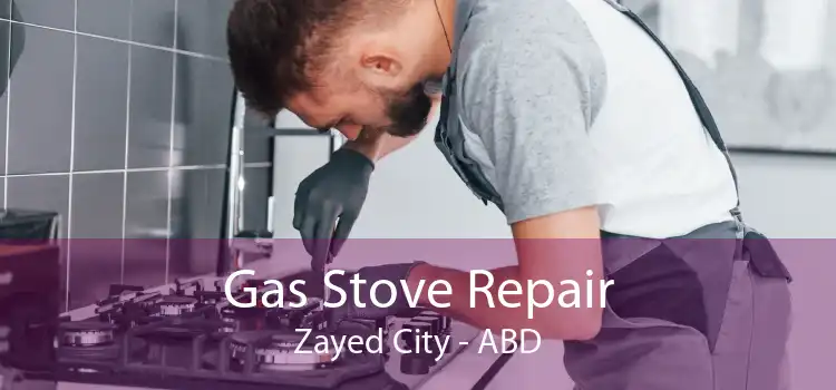 Gas Stove Repair Zayed City - ABD
