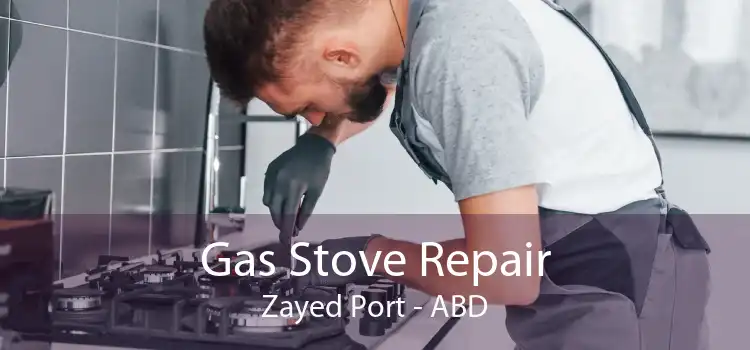 Gas Stove Repair Zayed Port - ABD