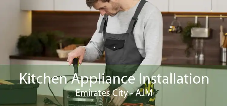 Kitchen Appliance Installation Emirates City - AJM