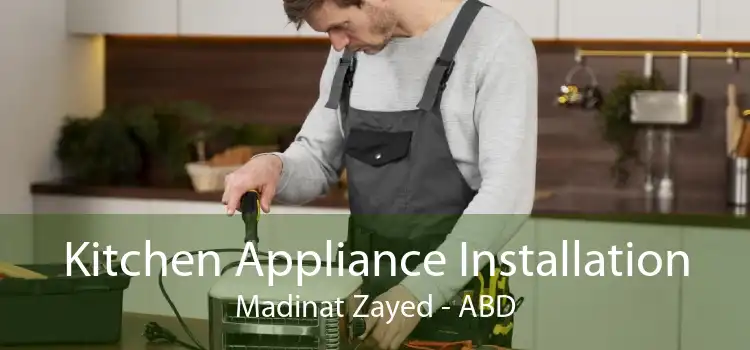 Kitchen Appliance Installation Madinat Zayed - ABD