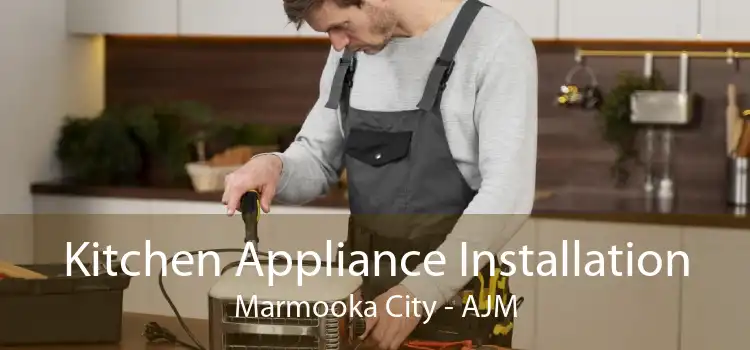 Kitchen Appliance Installation Marmooka City - AJM