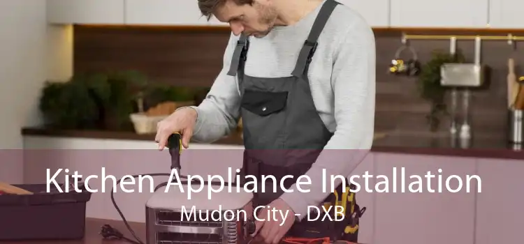 Kitchen Appliance Installation Mudon City - DXB