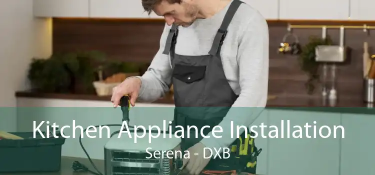 Kitchen Appliance Installation Serena - DXB