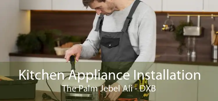 Kitchen Appliance Installation The Palm Jebel Ali - DXB