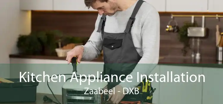 Kitchen Appliance Installation Zaabeel - DXB