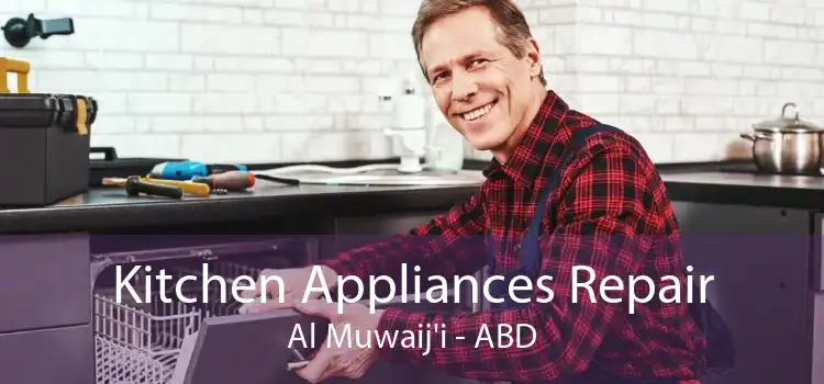 Kitchen Appliances Repair Al Muwaij'i - ABD