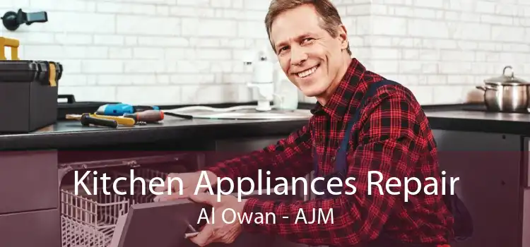 Kitchen Appliances Repair Al Owan - AJM