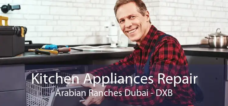 Kitchen Appliances Repair Arabian Ranches Dubai - DXB