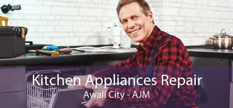 Kitchen Appliances Repair Awali City - AJM