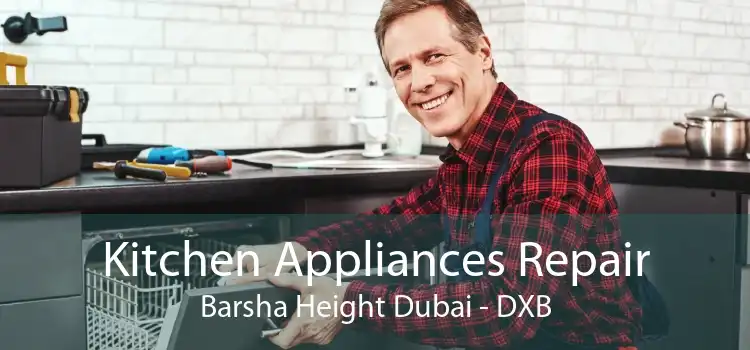 Kitchen Appliances Repair Barsha Height Dubai - DXB