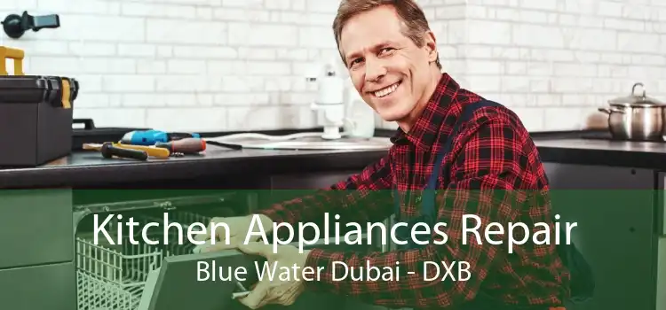 Kitchen Appliances Repair Blue Water Dubai - DXB