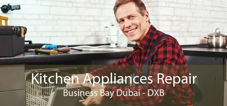 Kitchen Appliances Repair Business Bay Dubai - DXB