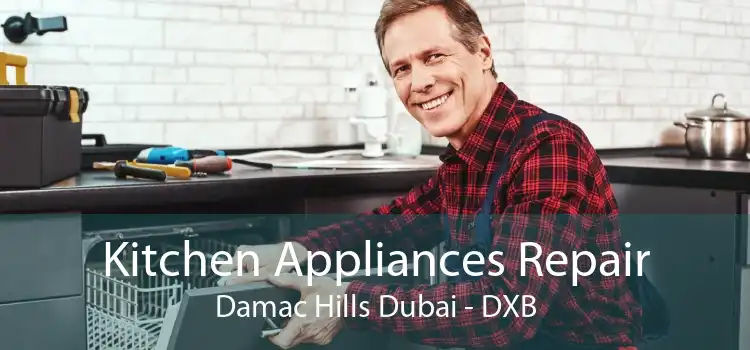 Kitchen Appliances Repair Damac Hills Dubai - DXB