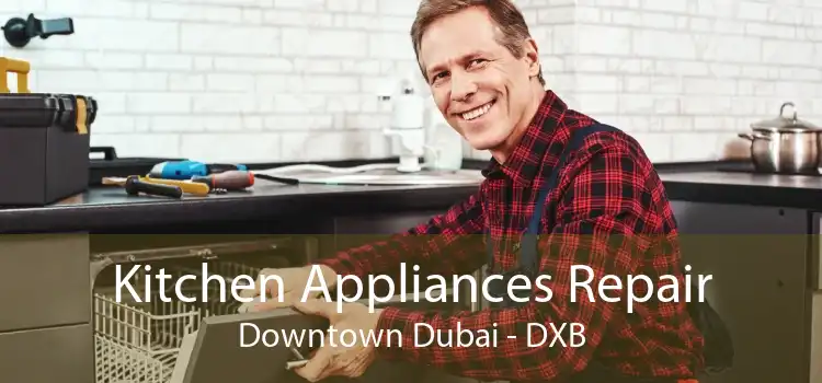 Kitchen Appliances Repair Downtown Dubai - DXB