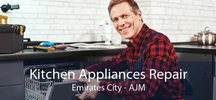 Kitchen Appliances Repair Emirates City - AJM