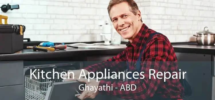 Kitchen Appliances Repair Ghayathi - ABD