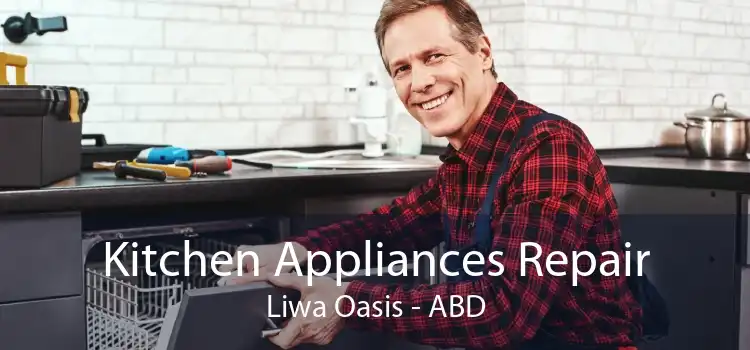 Kitchen Appliances Repair Liwa Oasis - ABD