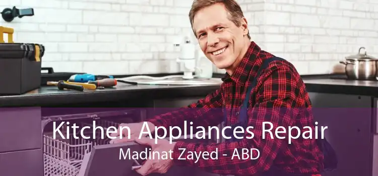 Kitchen Appliances Repair Madinat Zayed - ABD