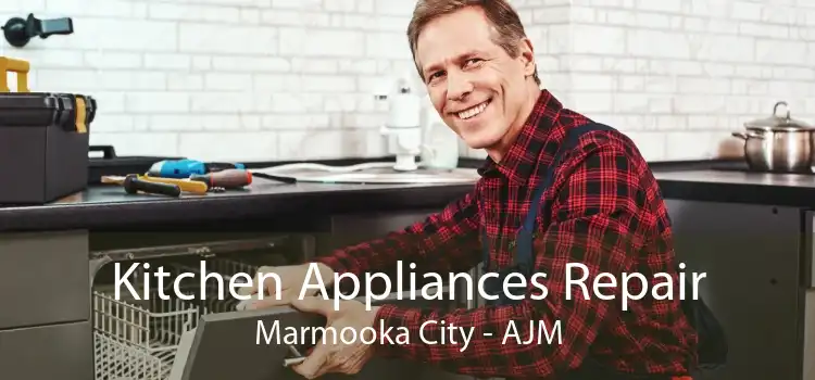 Kitchen Appliances Repair Marmooka City - AJM