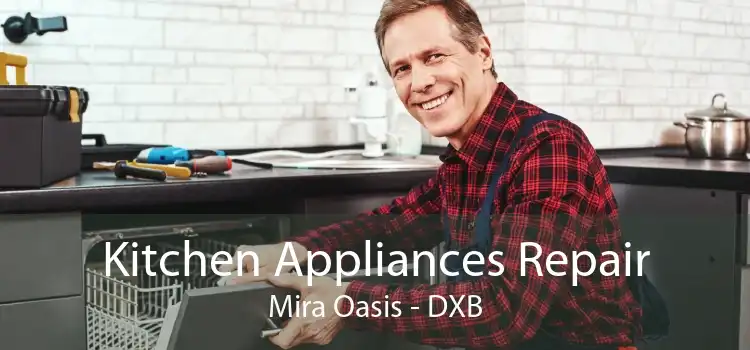 Kitchen Appliances Repair Mira Oasis - DXB