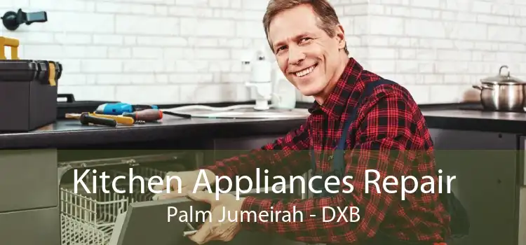 Kitchen Appliances Repair Palm Jumeirah - DXB