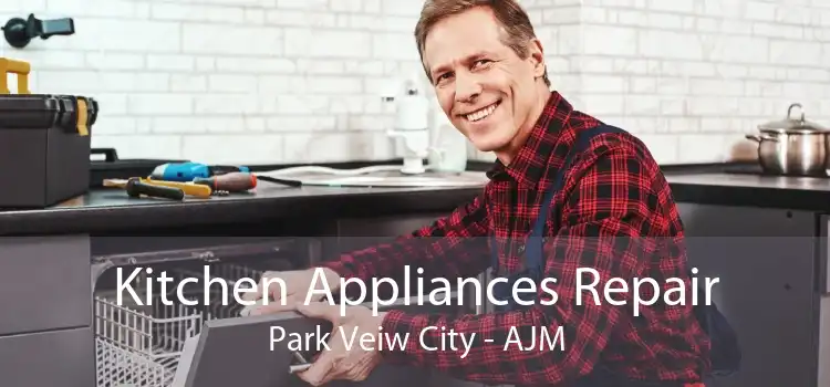 Kitchen Appliances Repair Park Veiw City - AJM