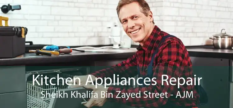 Kitchen Appliances Repair Sheikh Khalifa Bin Zayed Street - AJM