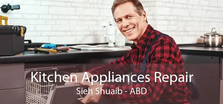 Kitchen Appliances Repair Sieh Shuaib - ABD