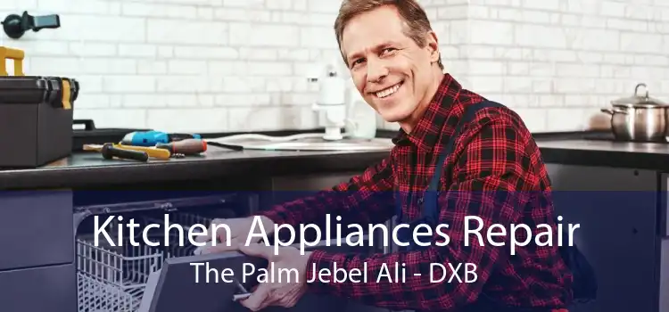 Kitchen Appliances Repair The Palm Jebel Ali - DXB