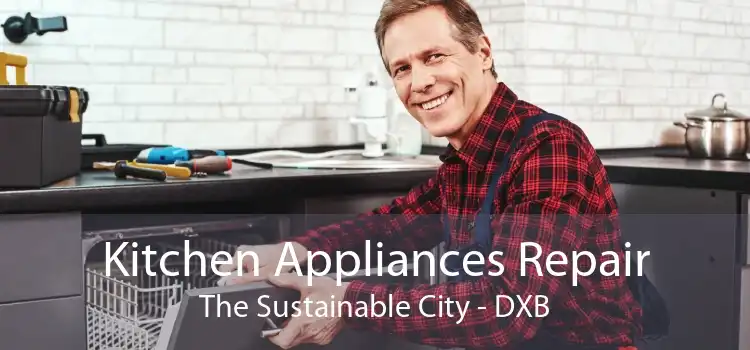 Kitchen Appliances Repair The Sustainable City - DXB