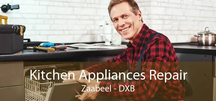 Kitchen Appliances Repair Zaabeel - DXB