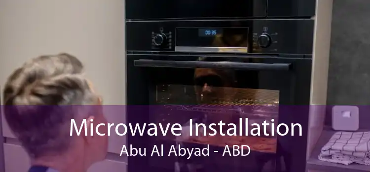Microwave Installation Abu Al Abyad - ABD