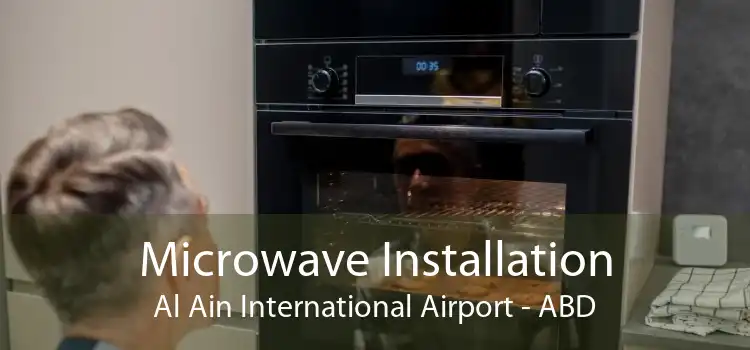 Microwave Installation Al Ain International Airport - ABD