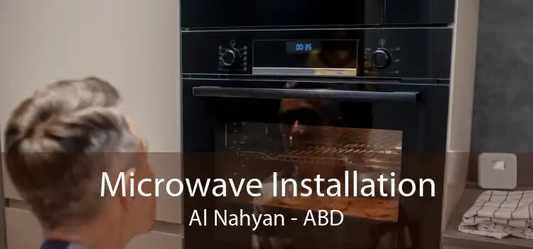 Microwave Installation Al Nahyan - ABD