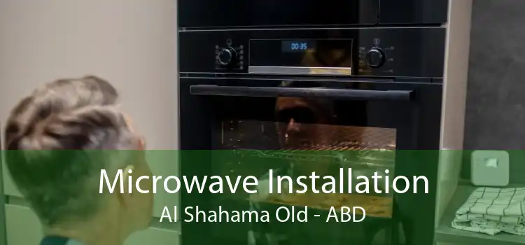 Microwave Installation Al Shahama Old - ABD