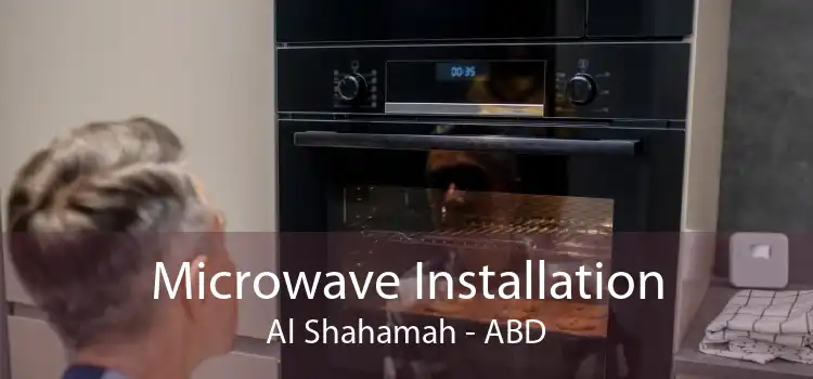 Microwave Installation Al Shahamah - ABD