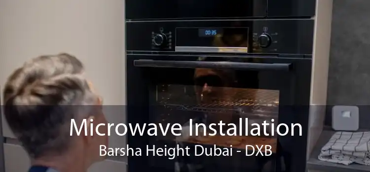 Microwave Installation Barsha Height Dubai - DXB