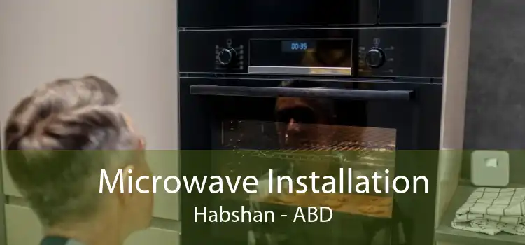 Microwave Installation Habshan - ABD