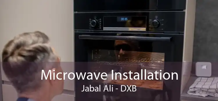 Microwave Installation Jabal Ali - DXB