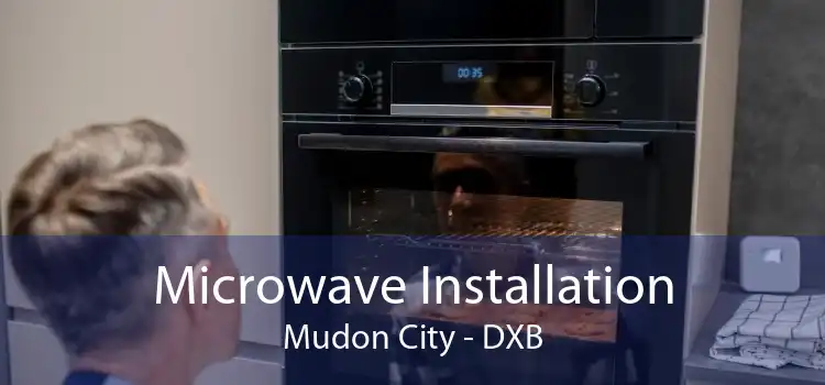 Microwave Installation Mudon City - DXB