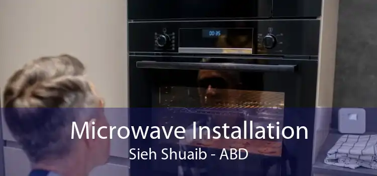 Microwave Installation Sieh Shuaib - ABD