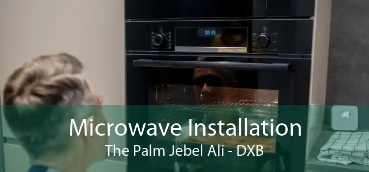 Microwave Installation The Palm Jebel Ali - DXB