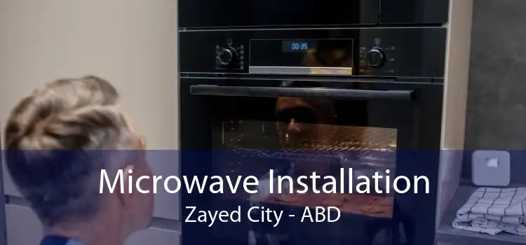 Microwave Installation Zayed City - ABD