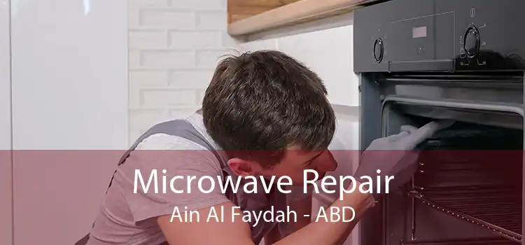 Microwave Repair Ain Al Faydah - ABD