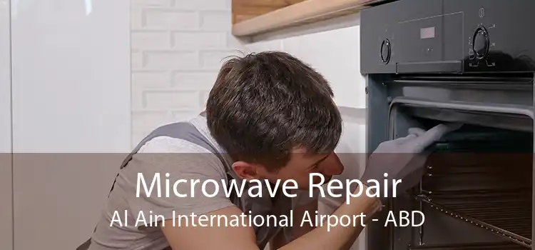 Microwave Repair Al Ain International Airport - ABD