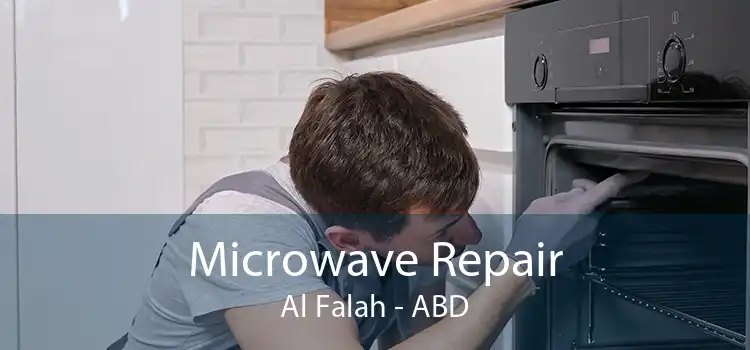 Microwave Repair Al Falah - ABD