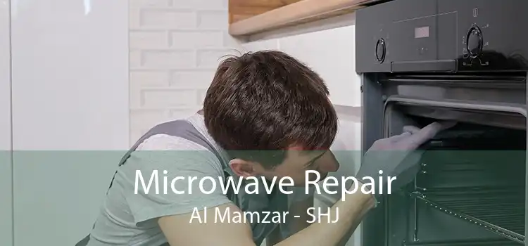 Microwave Repair Al Mamzar - SHJ